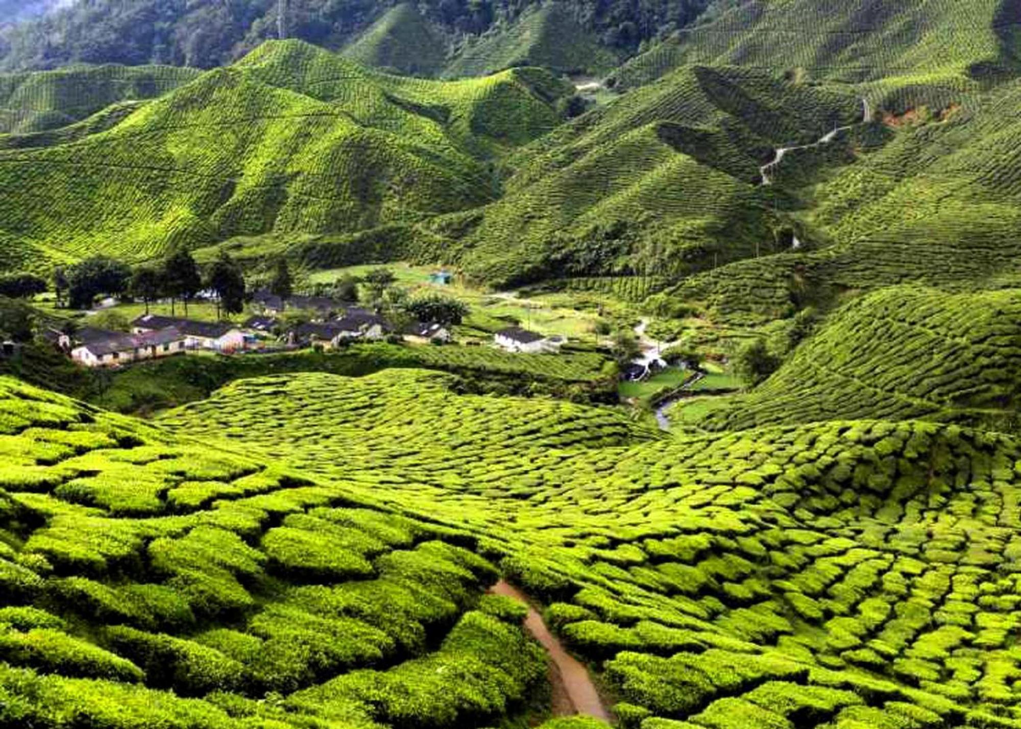 Ark Serendah 3* Hulu Yam Lama